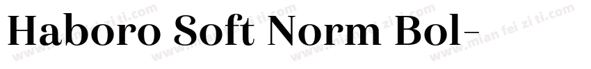 Haboro Soft Norm Bol字体转换